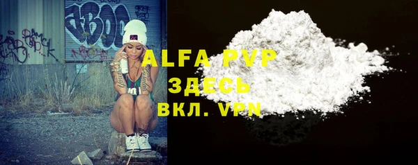 apvp Каменка