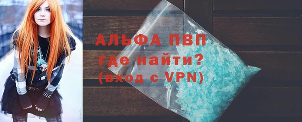 apvp Каменка