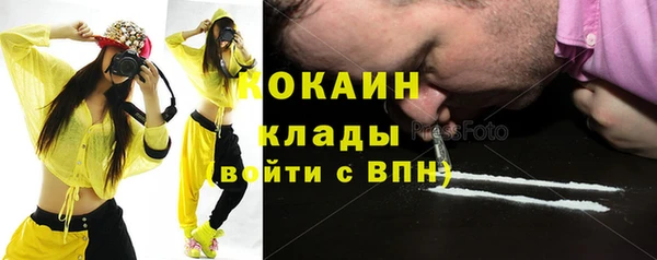 apvp Каменка