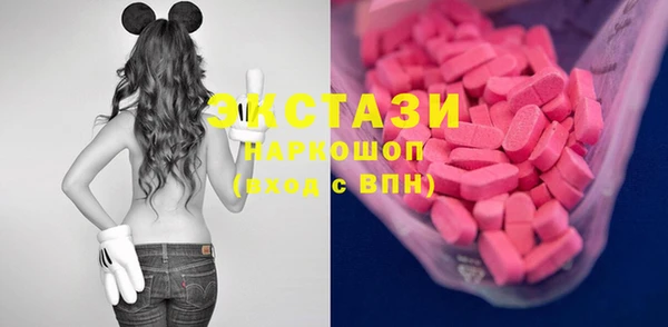 apvp Каменка