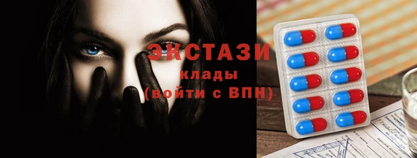apvp Каменка