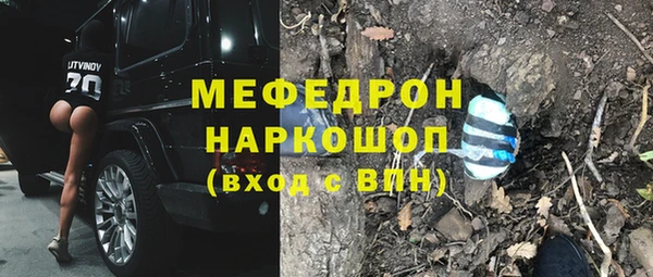 apvp Каменка