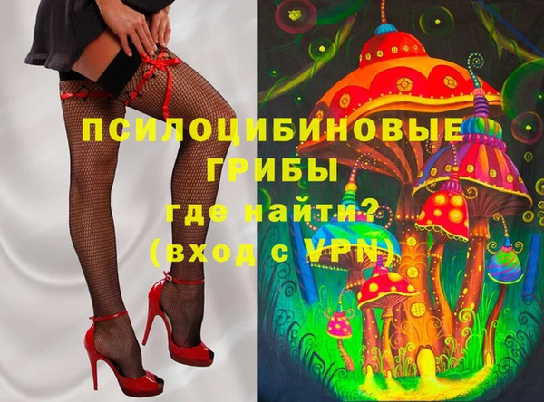 apvp Каменка
