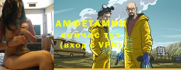 apvp Каменка