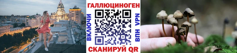 Купить закладки  Сухой Лог  Галлюциногенные грибы GOLDEN TEACHER 